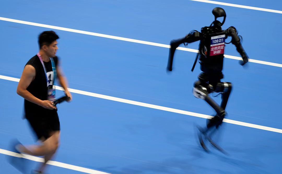 KAlIP, 杭州宇树科, 今年 KAlIP, 杭州宇树科, 今年